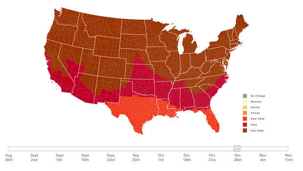 fall-foliage-predictor-map-smokymountains-com-620.jpg 