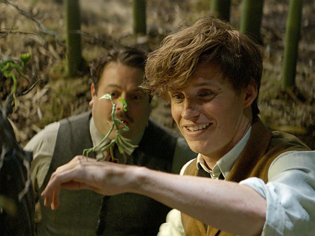 eddie-redmayne-fantastic-beasts-bowtruckle-2.jpg 