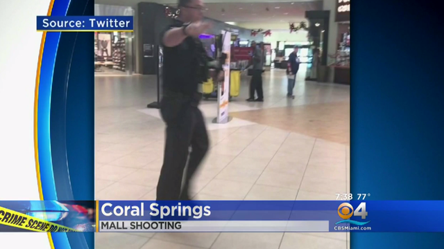 coral-springs-florida-shooting-2016-11-26.png 