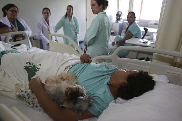 brazilian-therapy-dogs-8-2016-12-30.jpg 
