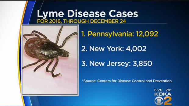 lyme-disease-stats 