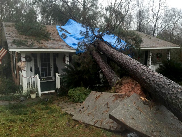 tree-hits-belview-alabama.jpg 