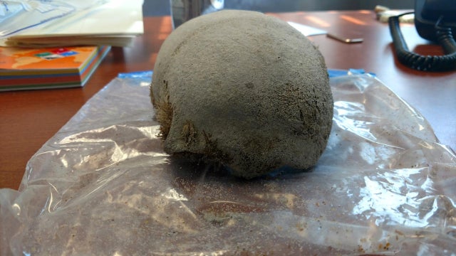 Part of a human skull found in Ormond Beach, Florida, on Jan. 2, 2017, is seen in this photo provided to CBS Orlando affiliate WKMG-TV. 
