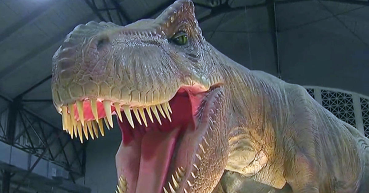 Jurassic Quest Takes Over Fair Park In Dallas CBS DFW