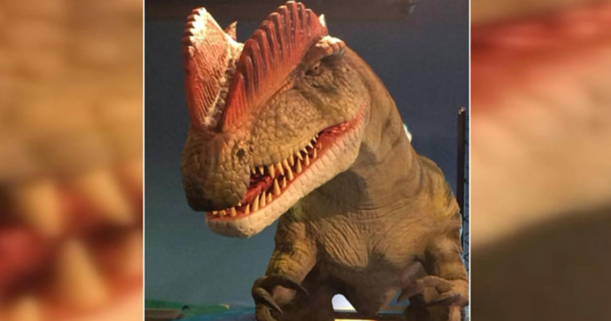 Boston Children's Museum Opens FirstEver HandsOn Dinosaur Exhibit