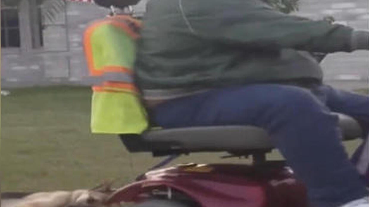 Disturbing video shows man dragging dog behind motorized wheelchair
