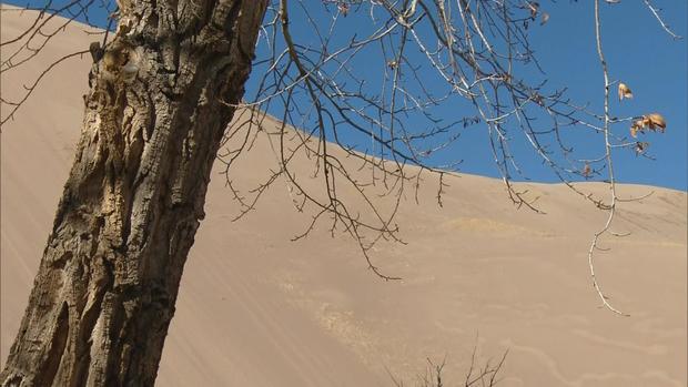 great-sand-dunes-11.jpg 