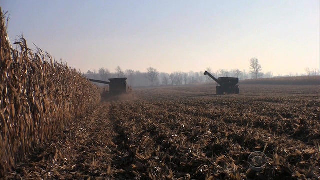 0223-en-begnaud-farms3.jpg 