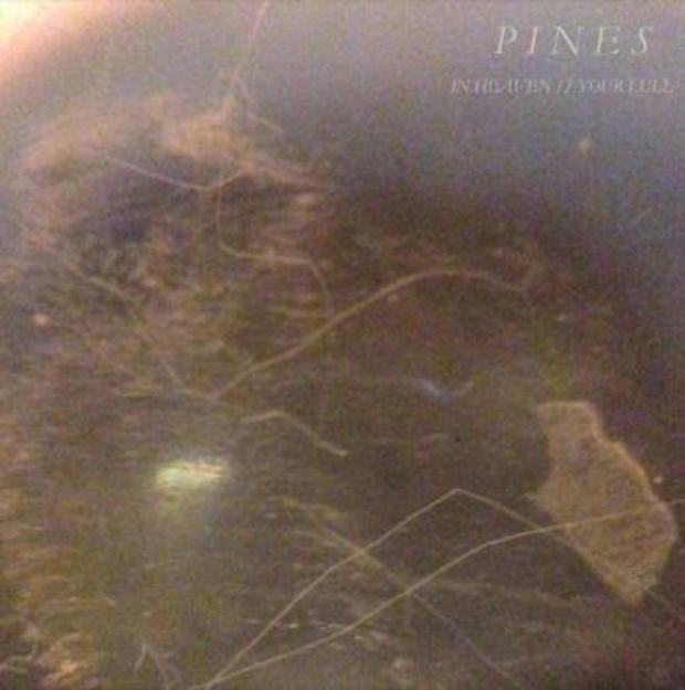 Pines 