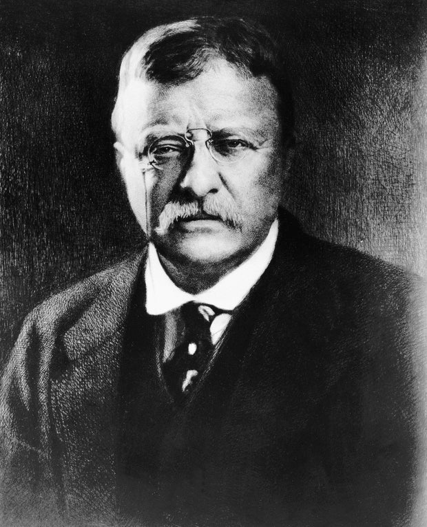 Theodore Roosevelt