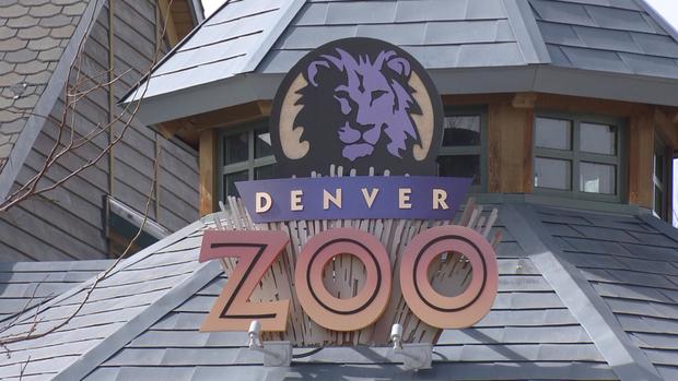 Denver Zoo logo generic 