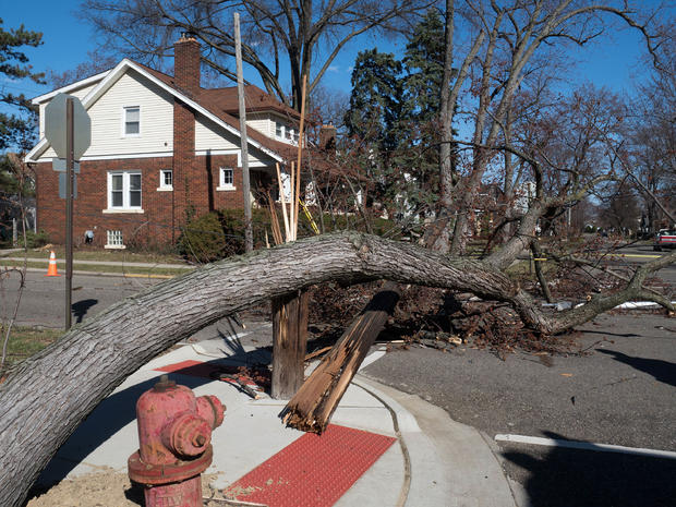 Storm Damage , Ferndale Michigan. 
