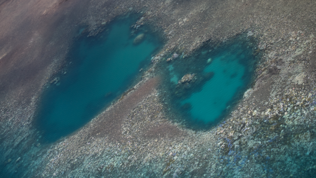 The deteriorating Great Barrier Reef 