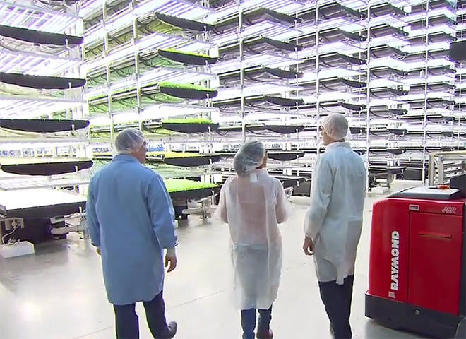 The growing trend of vertical farming - CBS News