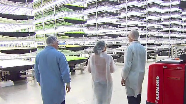 vertical-farming-aerofarms-c-promo.jpg 