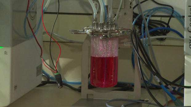 Blood Brewed In Lab 