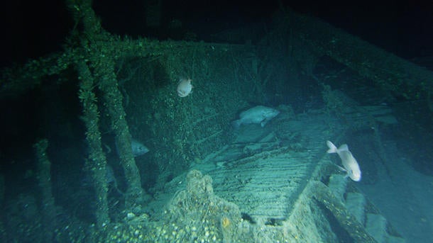 wwii-shipwreck-bluefields.jpg