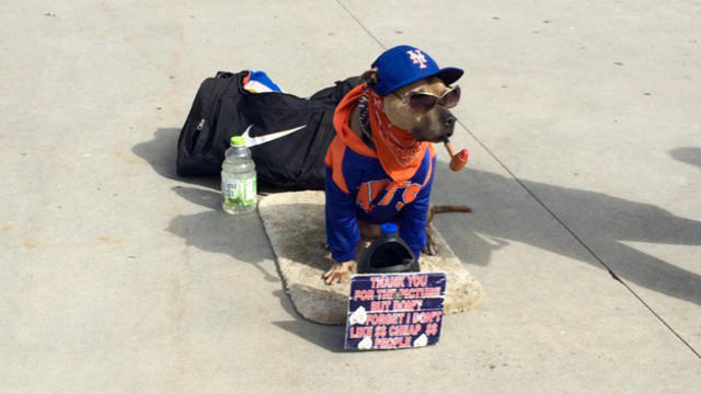 Fans Excited For Mets Opening Day At Citi Field - CBS New York