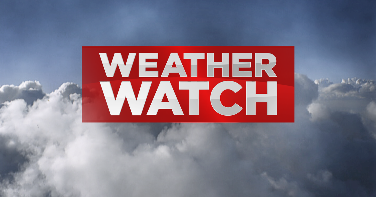 Weather alert: Weather alert: Flood watch issued in South Florida; expected  rainfall, areas to be affected, all you need to know - The Economic Times