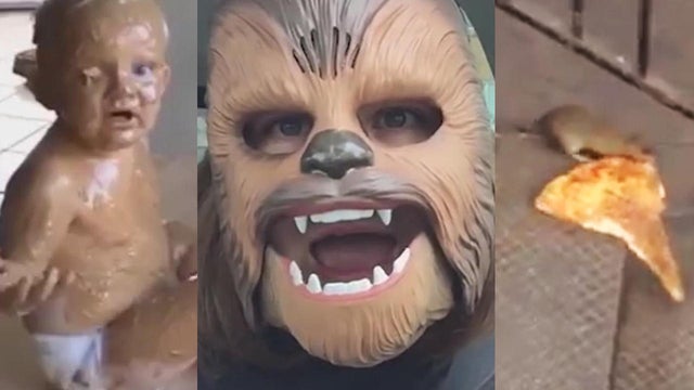 peanut-butter-baby-chewbacca-mom-pizza-rat-jukin-promo.jpg 