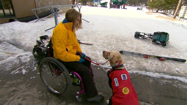 0411-ctm-dahler-fakeservicedogs-1288481-640x360.jpg 