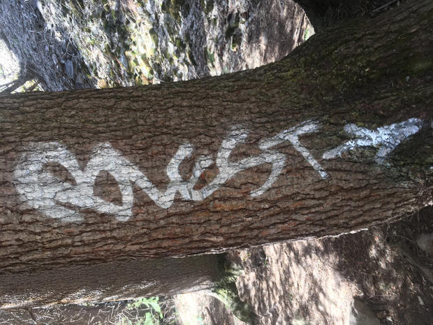 Hanging Lake Vandalism 3 (Forest Service) 
