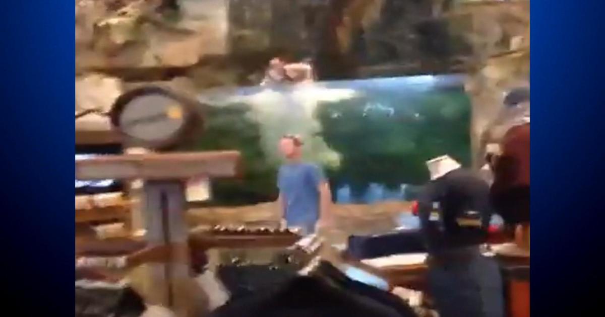 Charges Possible: Teen Hits Head Jumping Into Bass Pro Aquarium - CBS  Colorado