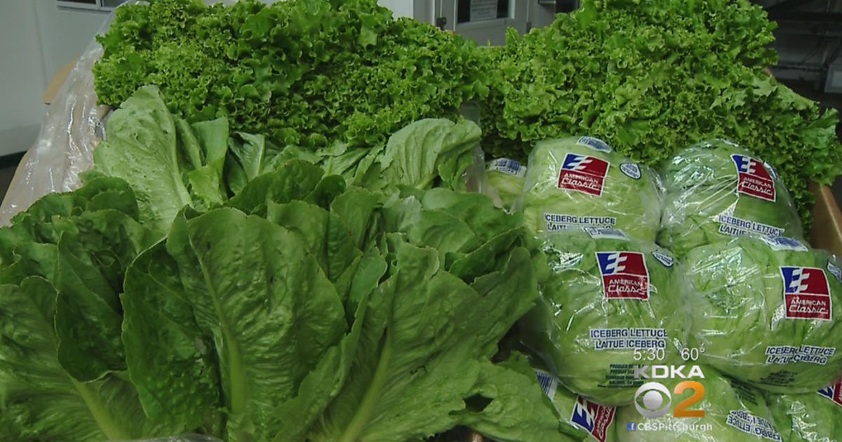 Temporary Lettuce Shortage Affects Local Prices, At Least Temporarily