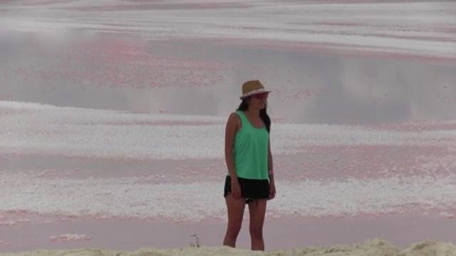 cbs-las-coloradas-yucatan-1308996-640x360.jpg 