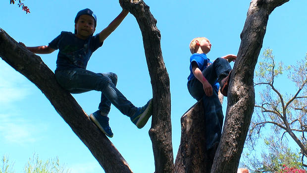Kids climbing trees on #Top10WxDay 