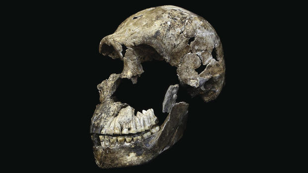 "Almost human" - Homo naledi 