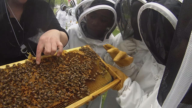 student-beekeepers.jpg 