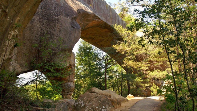 red-river-gorge-arch-sherri-obrien-promo.jpg 