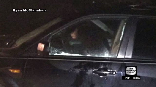 bear-in-car.png 