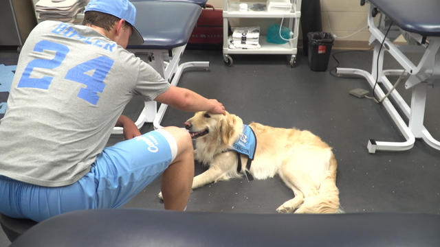 Service dog boosts North Carolina college baseball team