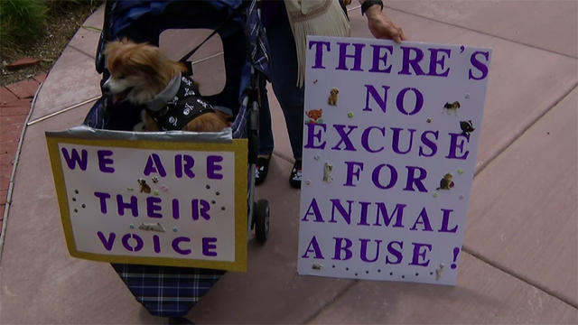 animal-abuse-rally.jpg 