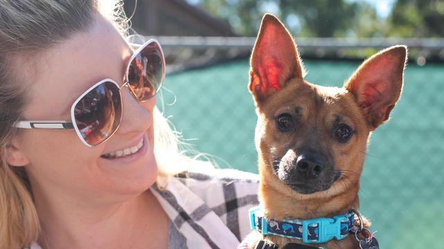 header_super-pet-adoption-courtesy-of-irvine-animal-care-center.jpg 