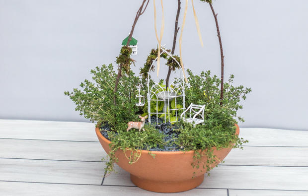 Herbal Miniature Garden Workshop-Rogers Gardens 