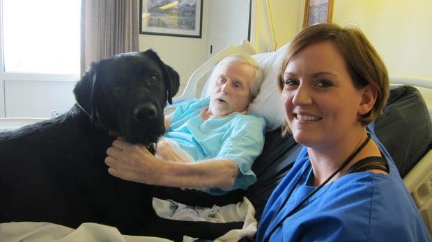 Essentia Health staff reunite patient with his service dog 