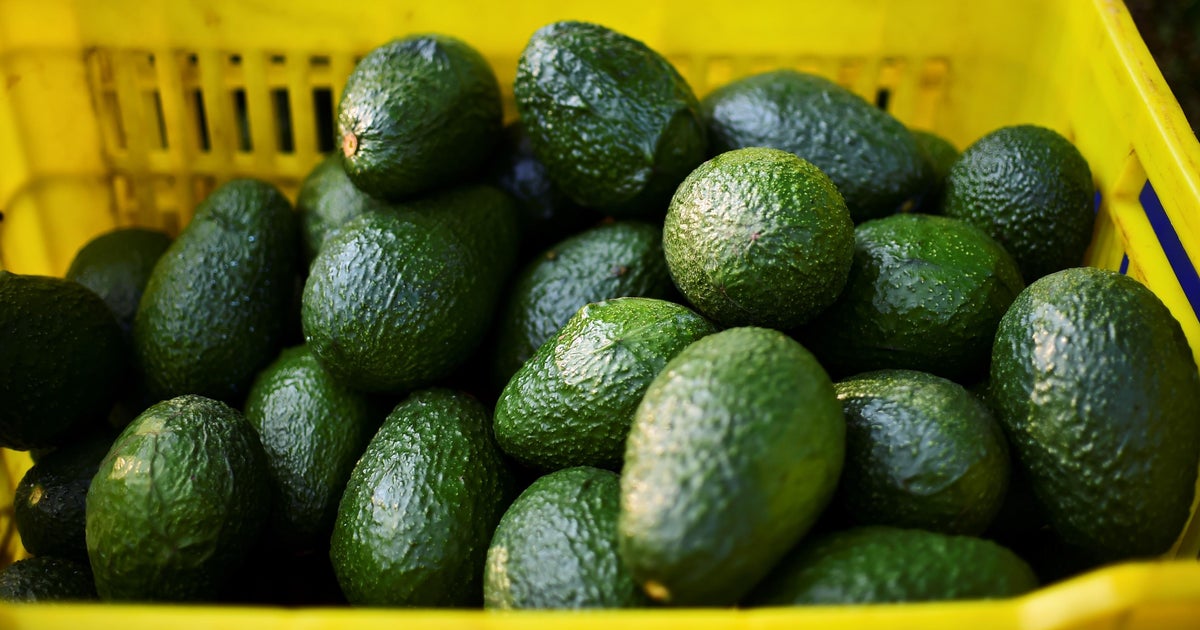 Avocado recall Listeria bacteria concerns given as California grower
