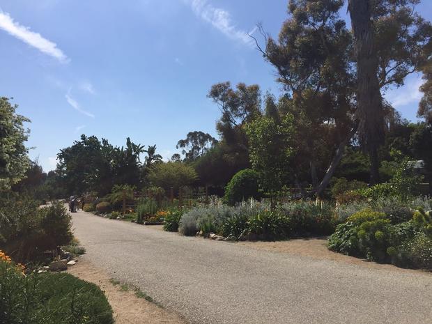 South Coast Botanic Garden 
