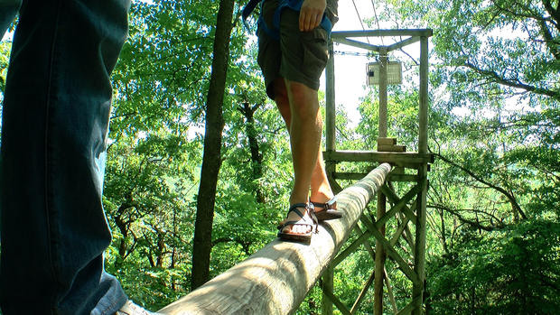 Eagle Bluff High Ropes Course Finding Minnesota 