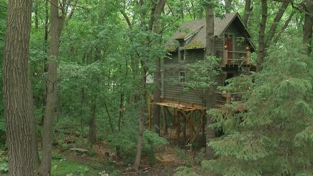 Magician Builds Epic Tree House 