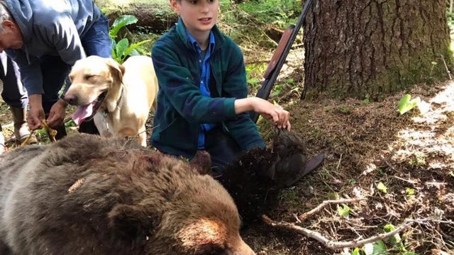 alaska-bear-19511486-1372429332841712-3075720079650040171-n.jpg 