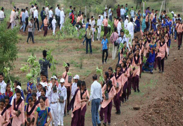 Volunteers help plant trees in India's Madhya Pradesh state on July 2, 2017. 