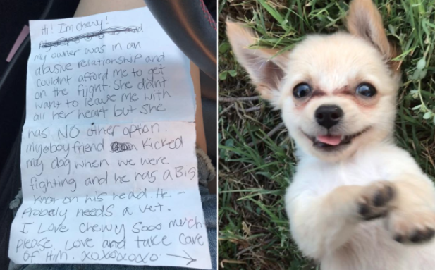 Puppy abandoned in Las Vegas airport with gut-wrenching note - CBS News
