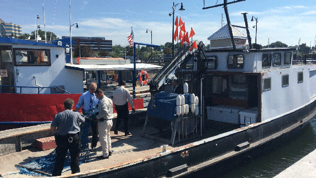 boat.gif 