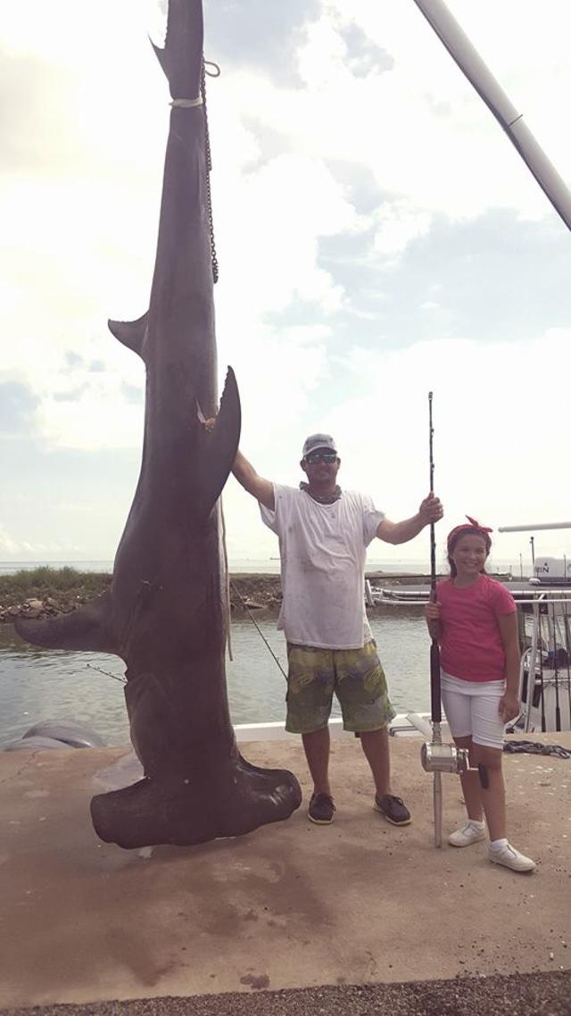 Fisherman Hauls In Texas Record 1,033-Pound Hammerhead Shark - CBS