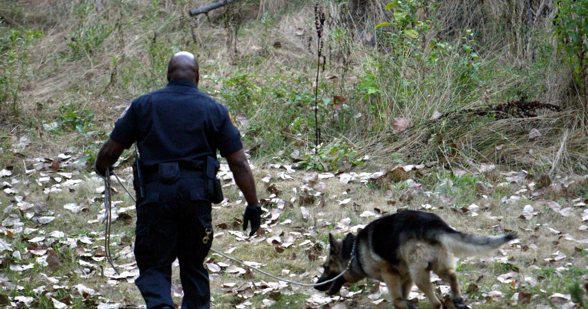 can cadaver dogs smell bones