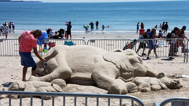 elephant-sand.jpg 